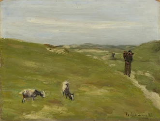 Prairie avec fermier et chèvres paissant